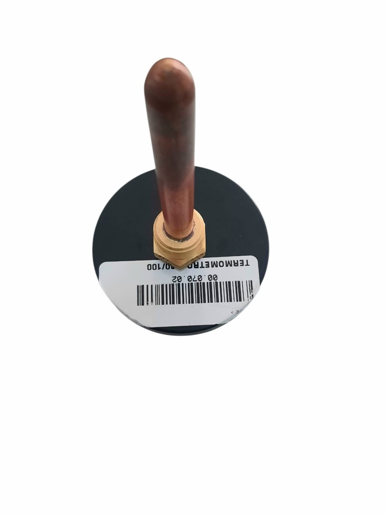 00.070.02 TERMOMETRO T80/100
