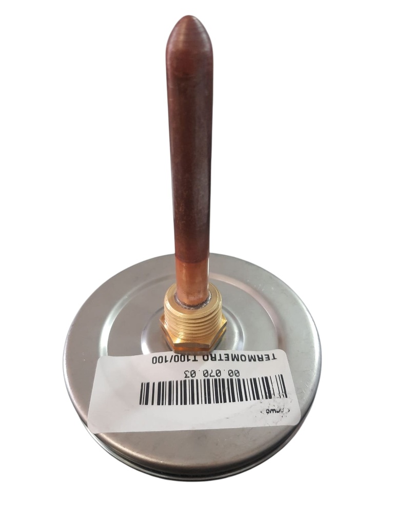 TERMOMETRO T100/100 vastago centro