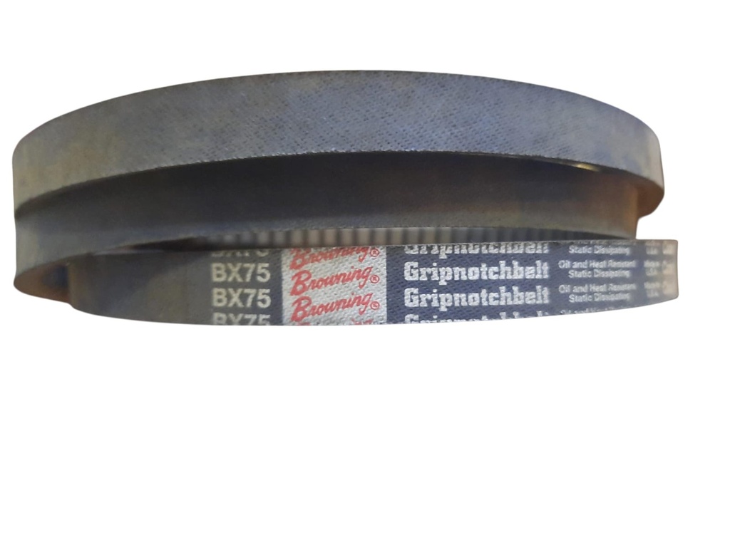 Correa industrial dentada BX75 BROUMING