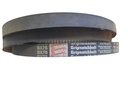 Correa industrial dentada BX75 BROUMING