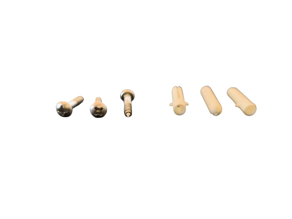 Kit de fijación tornillos y tarugos plásticos 6mm