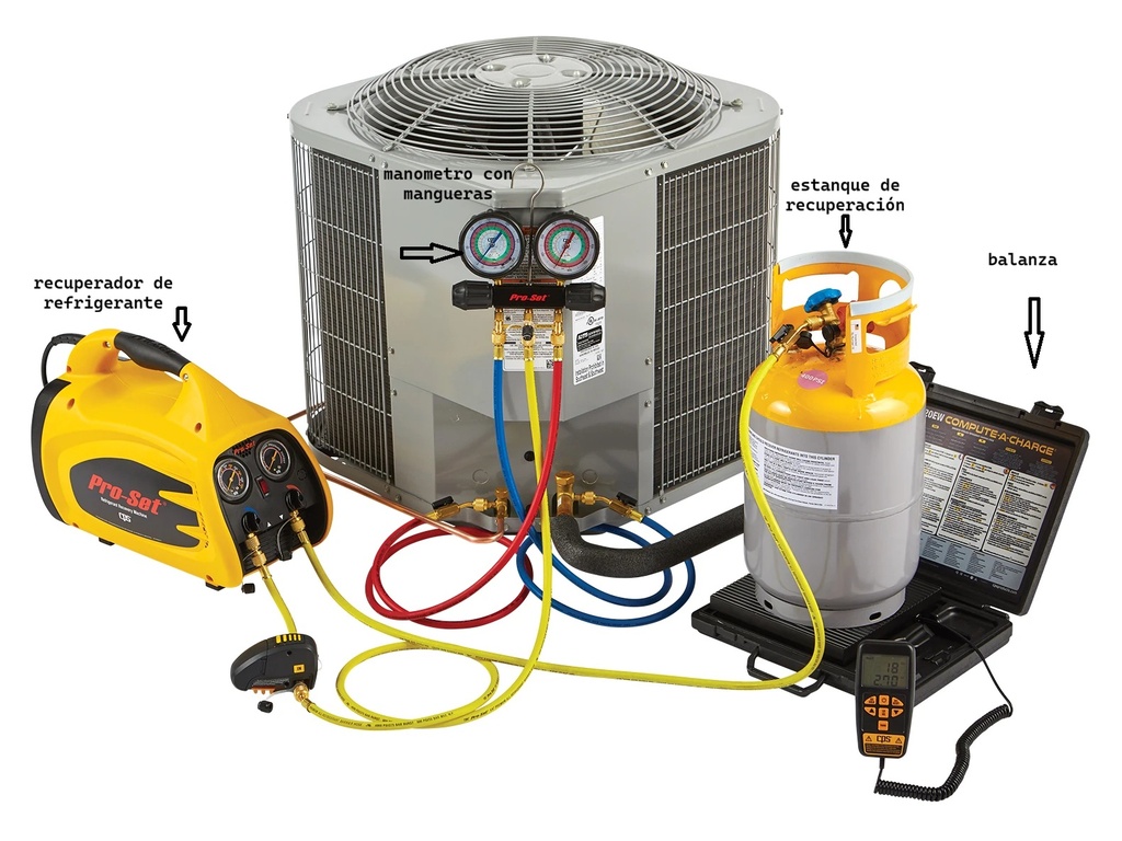 Pesa Programable CC800 100Kg CPS