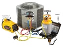Pesa Programable CC800 100Kg CPS
