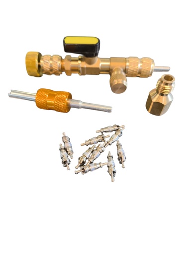 REMOVEDOR DE VALVULA Pepa, Extractor De Nucleo 1/4 5/16 Valvula (GENERICA)